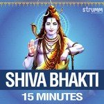 Shiva Bhakti - 15 Minutes - Akriti Kakkar Song Download